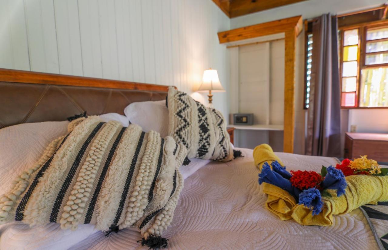 Zimbali Culinary Retreats Villa Negril Luaran gambar