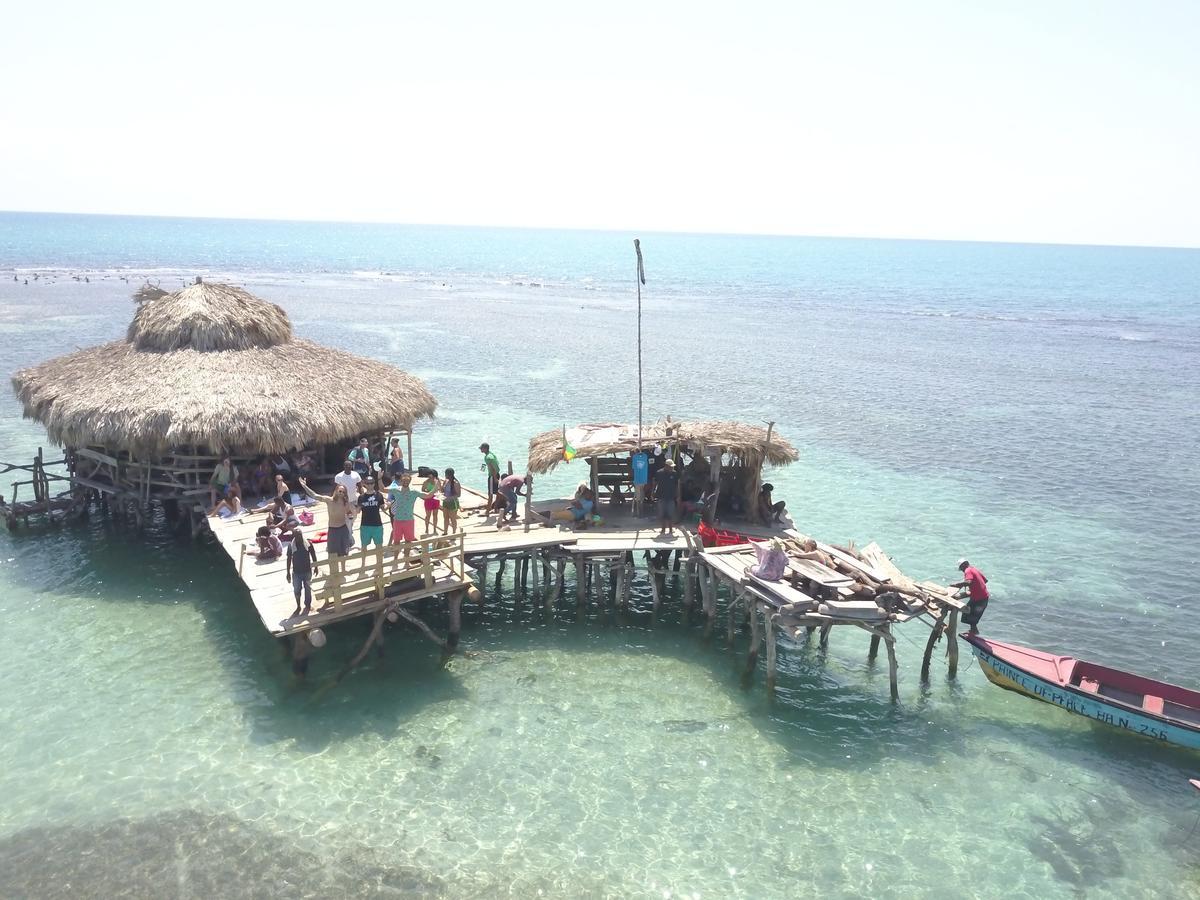 Zimbali Culinary Retreats Villa Negril Luaran gambar