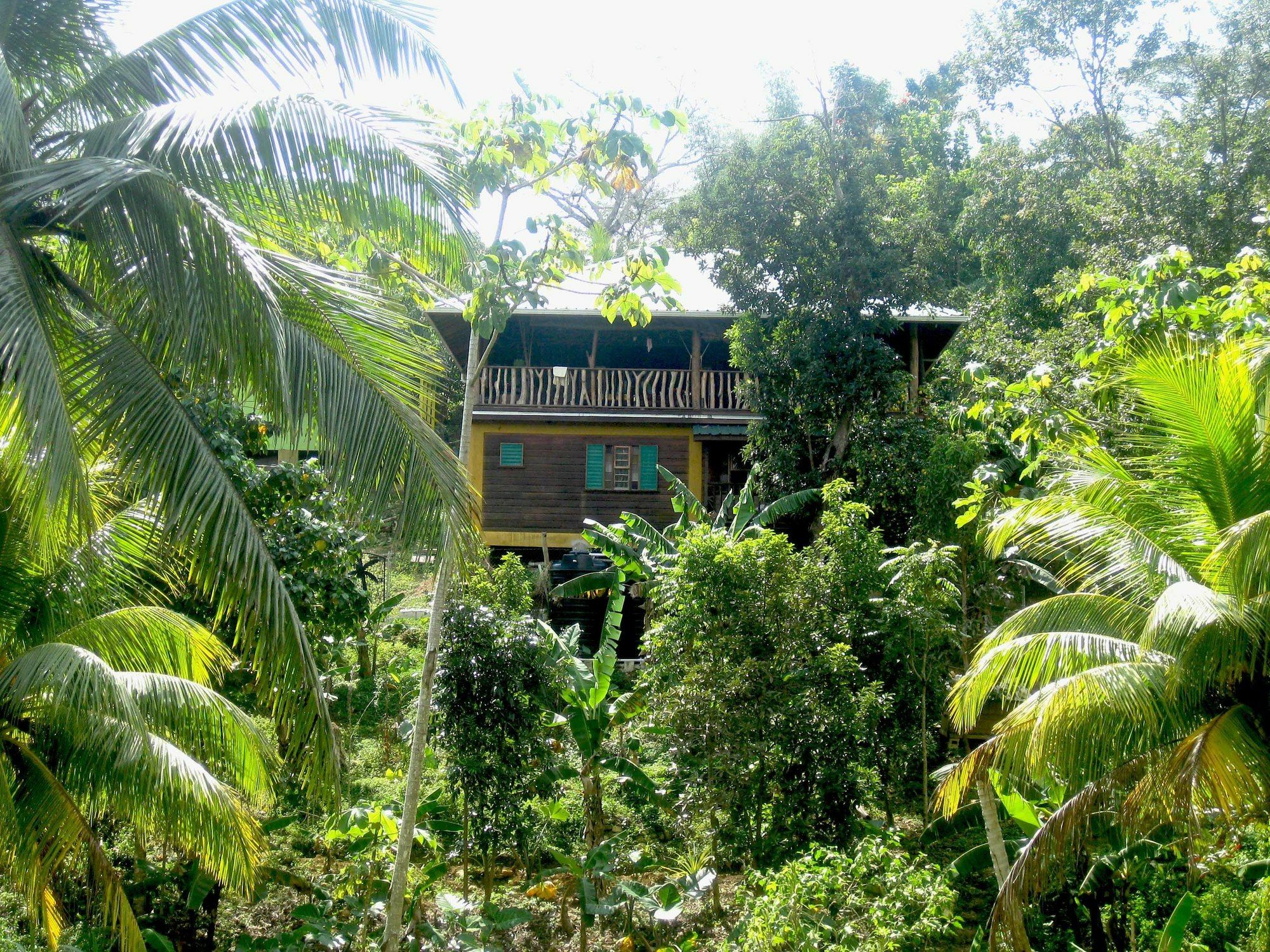 Zimbali Culinary Retreats Villa Negril Luaran gambar