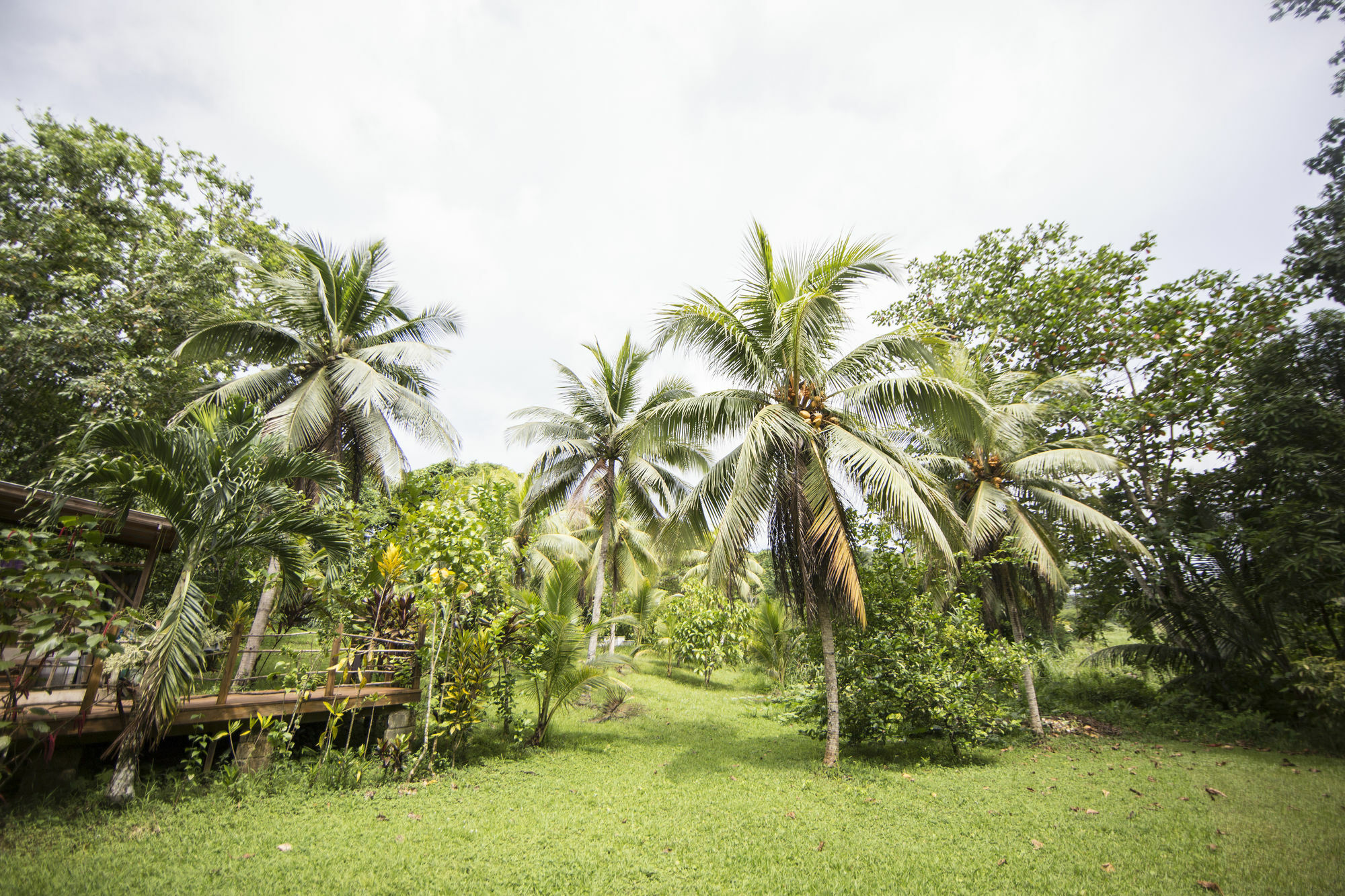 Zimbali Culinary Retreats Villa Negril Luaran gambar